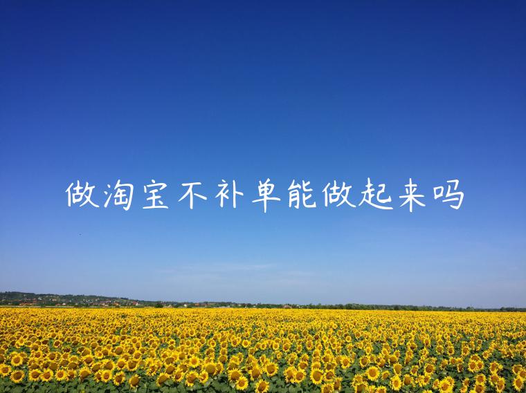 做淘寶不補(bǔ)單能做起來(lái)嗎